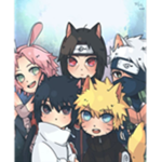 Fox Clothing!
