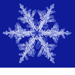 SNOWFLAKE ARMY!!!
