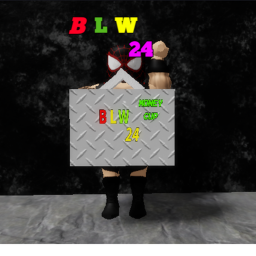 BLW 24