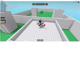 Flag Blitz