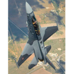 jet go br