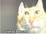 Да ро ва