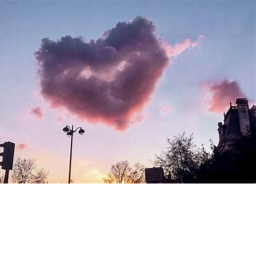 l o v e v e r s e