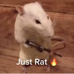 Str33t Rat$