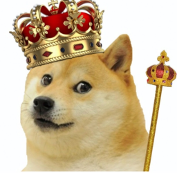 DOGE NATION CONFEDERACY HOMELAND