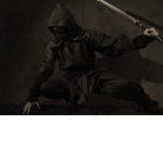 slashing ninja