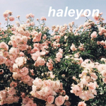 haleyon