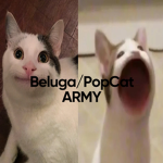 Belugas / Popcats