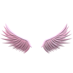 Pink Wings of Passion