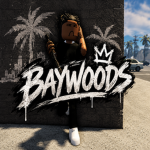 BaywoodsV3 Whitelist