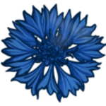 Angeloist Cause