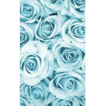 xbluexrosesxclubx