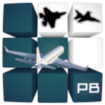 Pinewood Builders Plane Airport [PBPA]