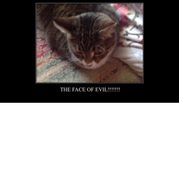 The Adventures of Beatrice The Cat BATTLE ARENA