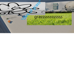 dont touch grass