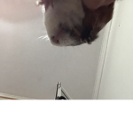 :*)