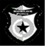 R.S.F Roblox Police