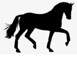 Copper's Riding Club