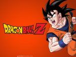 Real Surge Z