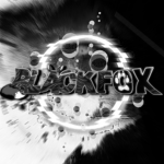 White:Fox Studio