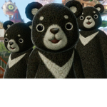 [:]Black Bear Cult