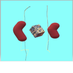 Primal_kings