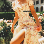adroxies