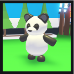 PandaSquad123!