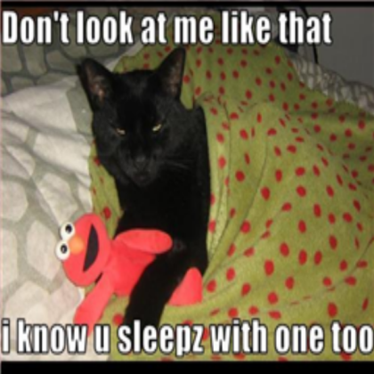 Cats sleep with stuffed animals too. Roblox decal