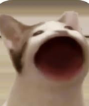Foxy play