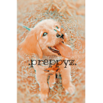 .preppyz.