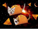 Cattaco