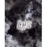 Chs rbx management