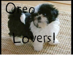 <3 Oreo <3