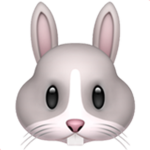 bunny rabbit squad
