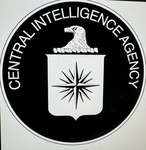 CIA Cat Intelligency Group