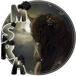 MoonStone Shadow Riding Academy