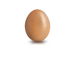 The Egg Box