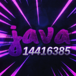 Java$