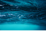 OFFICIAL OCEAN FRIENDS