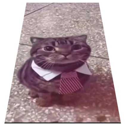 Cute Cat Cape Roblox item