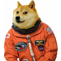 Doge Army Hangout