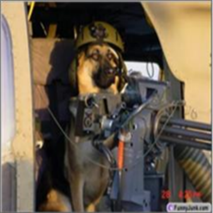 Dog with minigun in vietnam Roblox decal