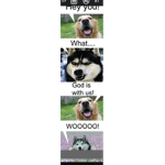 ohus lkawes