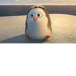 THE PENGUIN!!!!!!