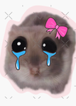Pets for robux trusted