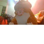 Fleepy fan