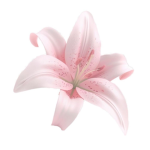 Flora;3