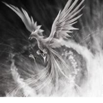 the order of mystic phoenix