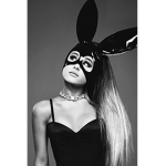 Dangerous Woman, FAN-GROUP.
